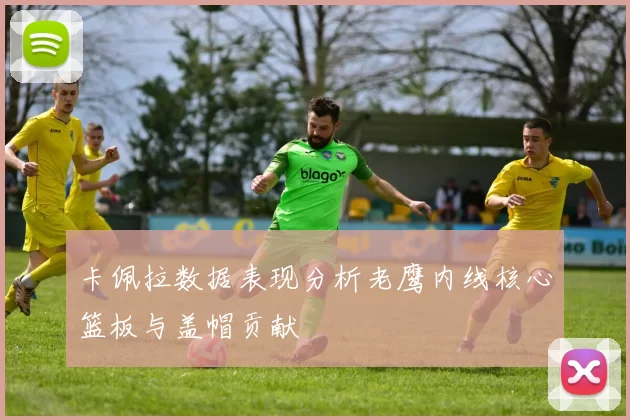 卡佩拉数据表现分析老鹰内线核心篮板与盖帽贡献