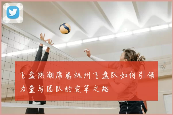 飞盘热潮席卷杭州飞盘队如何引领力量与团队的变革之路