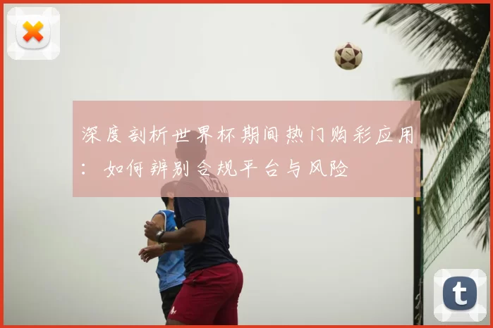 深度剖析世界杯期间热门购彩应用:如何辨别合规平台与风险