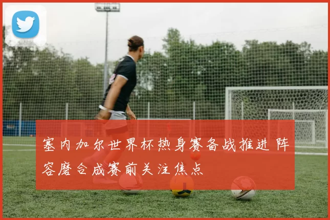 塞内加尔世界杯热身赛备战推进 阵容磨合成赛前关注焦点