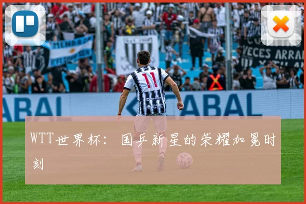 WTT世界杯:国乒新星的荣耀加冕时刻