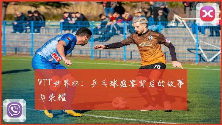 WTT世界杯：乒乓球盛宴背后的故事与荣耀