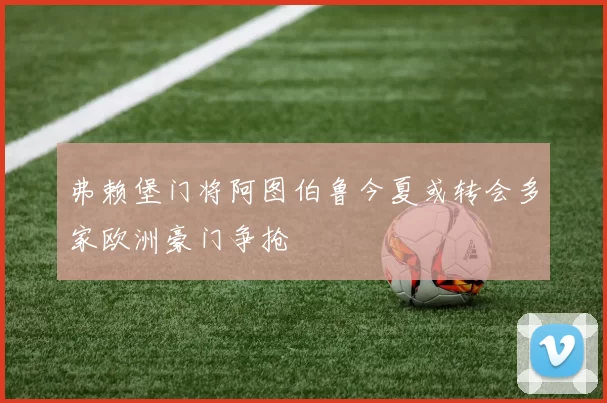 弗赖堡门将阿图伯鲁今夏或转会多家欧洲豪门争抢