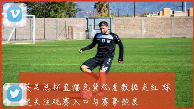 英足总杯直播免费观看数据走红 球迷关注观赛入口与赛事热度