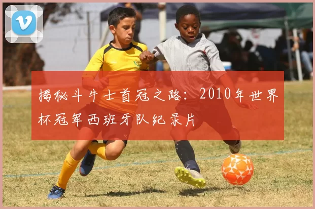揭秘斗牛士首冠之路：2010年世界杯冠军西班牙队纪录片
