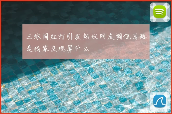 三球闯红灯引发热议网友调侃马路是我家交规算什么