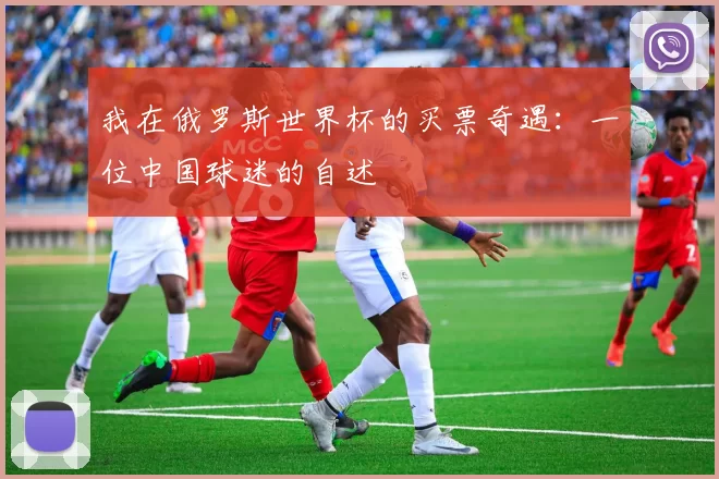我在俄罗斯世界杯的买票奇遇：一位中国球迷的自述