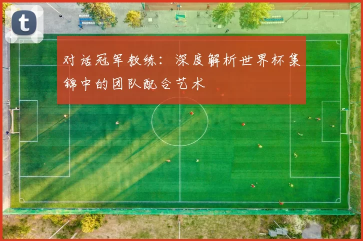 对话冠军教练:深度解析世界杯集锦中的团队配合艺术