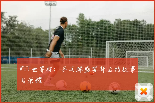 WTT世界杯：乒乓球盛宴背后的故事与荣耀