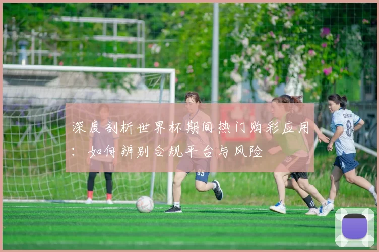 深度剖析世界杯期间热门购彩应用:如何辨别合规平台与风险