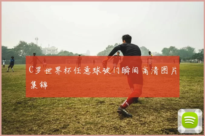 C罗世界杯任意球破门瞬间高清图片集锦