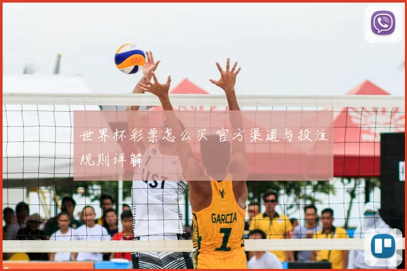 世界杯彩票怎么买 官方渠道与投注规则详解