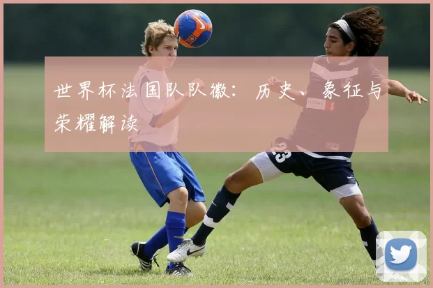 世界杯法国队队徽：历史、象征与荣耀解读